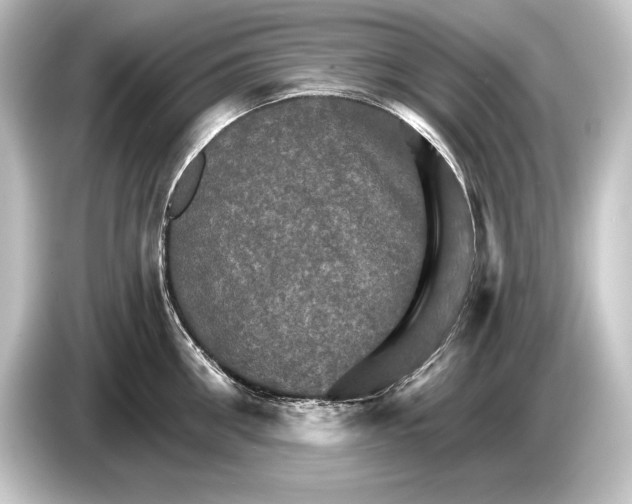 X0000084520906200703161545