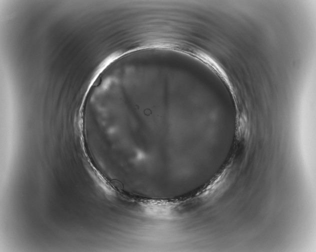 X0000084520907200703161545