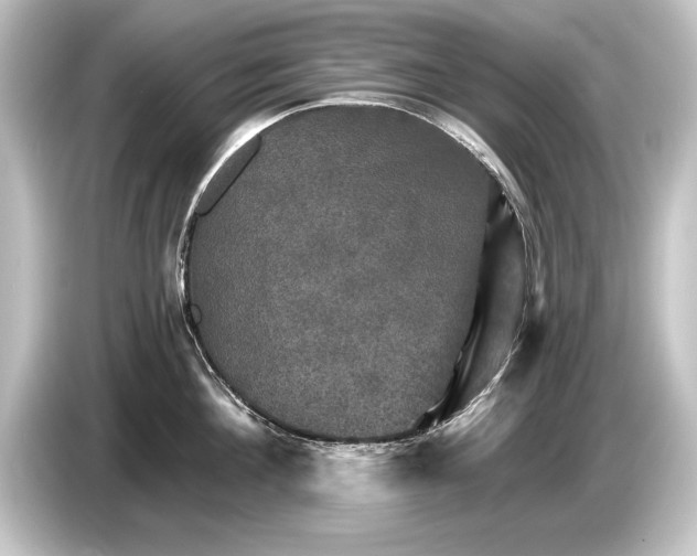 X0000084520908200703161545