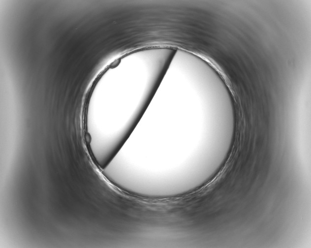 X0000084520910200703161545