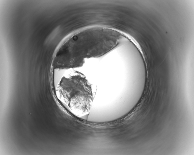 X0000084520911200703161545