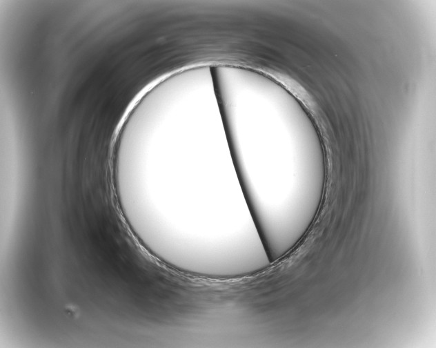 X0000084520912200703161545