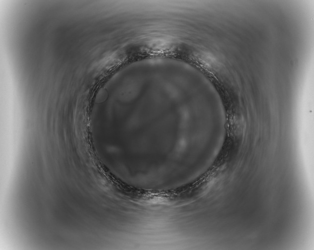 X0000084520913200703161545