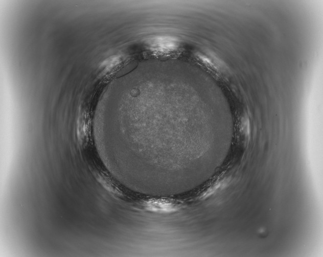 X0000084520914200703161545