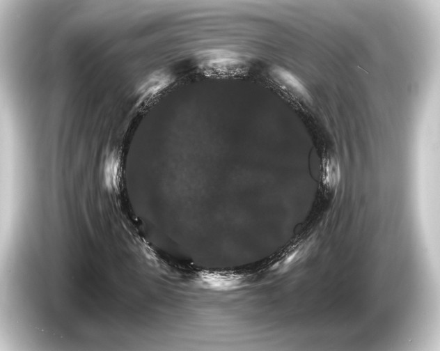 X0000084520915200703161545