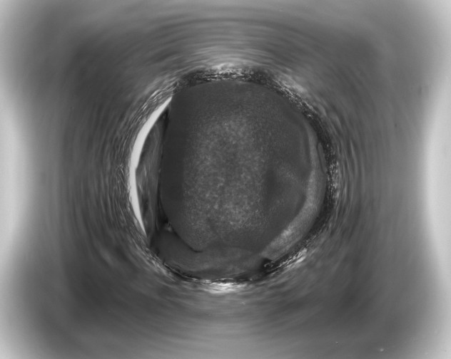 X0000084520916200703161545