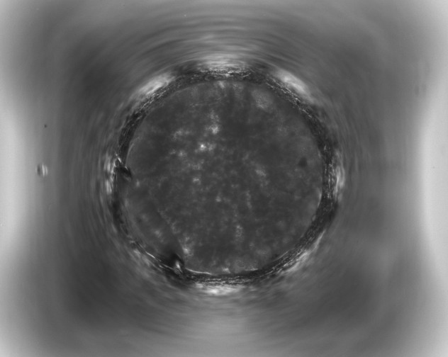 X0000084520917200703161545