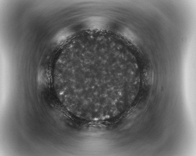 X0000084520918200703161545