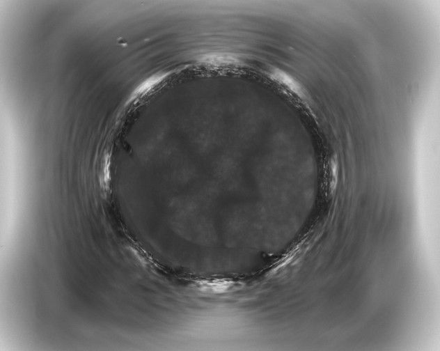 X0000084520919200703161545