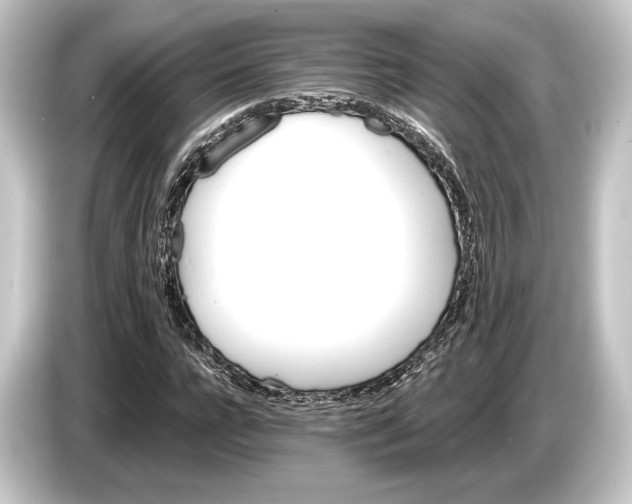 X0000084520920200703161545