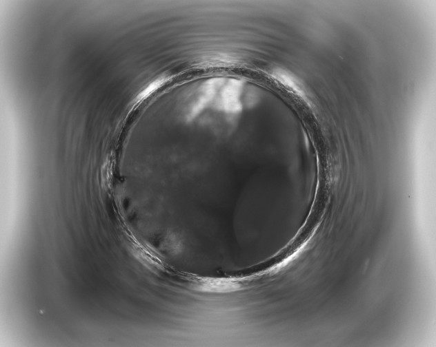 X0000084520921200703161545