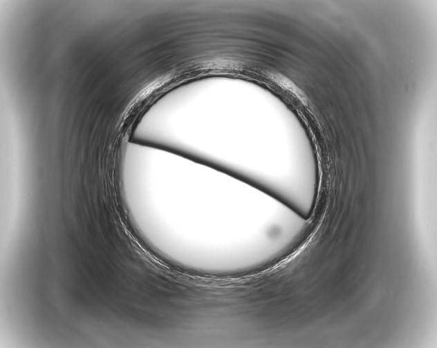 X0000084520922200703161545