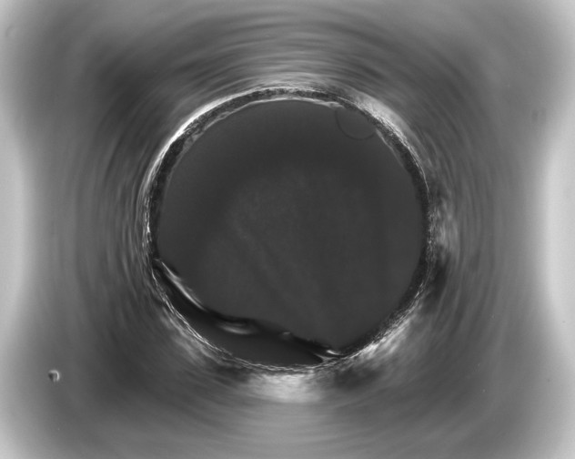 X0000084520923200703161545