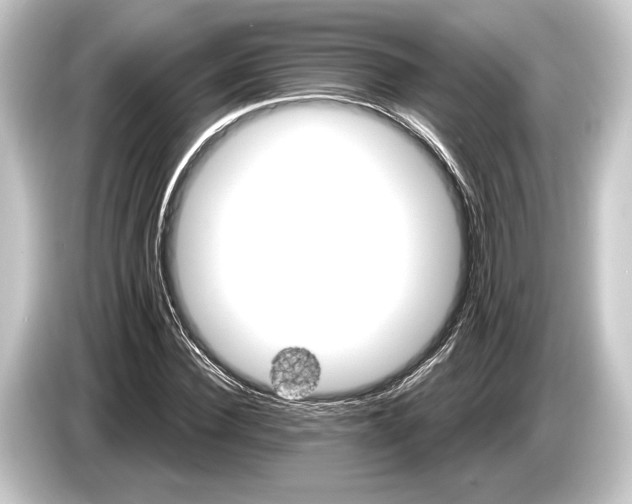 X0000084520924200703161545