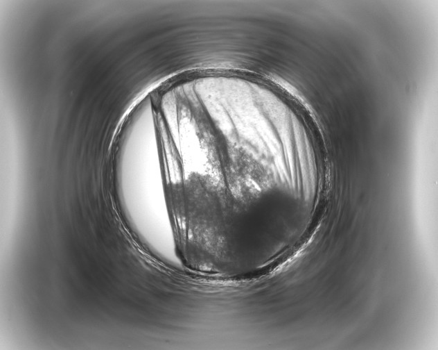 X0000084520925200703161545