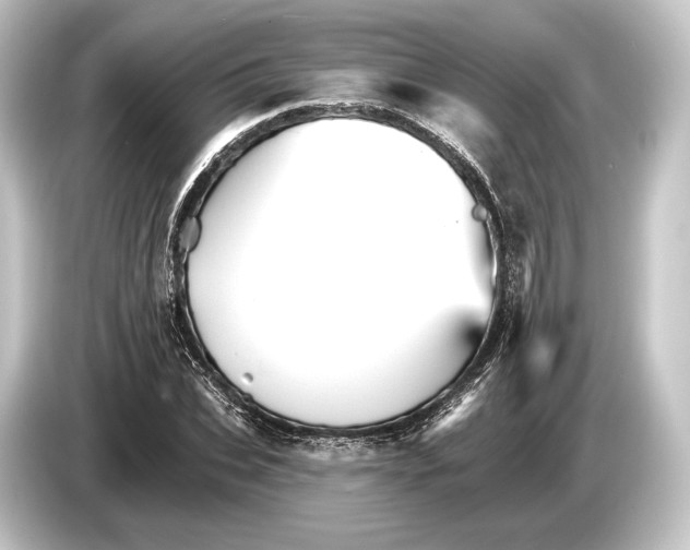 X0000084520927200703161545