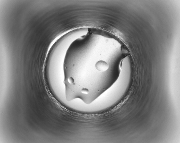 X0000084520928200703161545