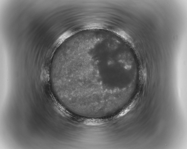 X0000084520929200703161545