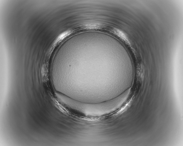 X0000084520930200703161545