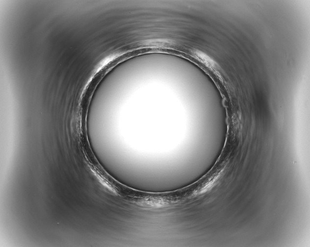 X0000084520931200703161545