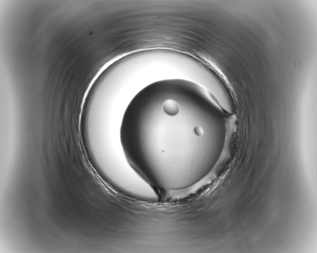 X0000084520932200703161545