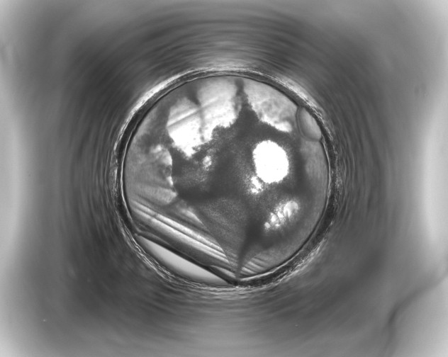 X0000084520933200703161545