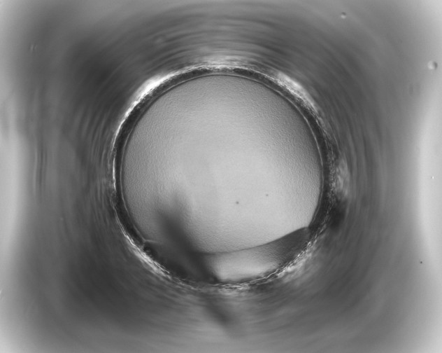 X0000084520934200703161545