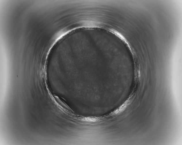 X0000084520935200703161545