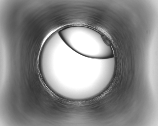 X0000084520936200703161545