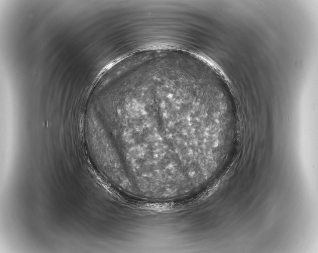 X0000084520937200703161545