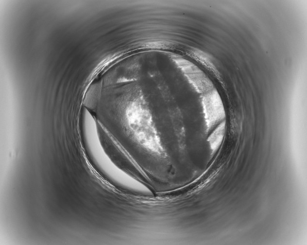 X0000084520938200703161545