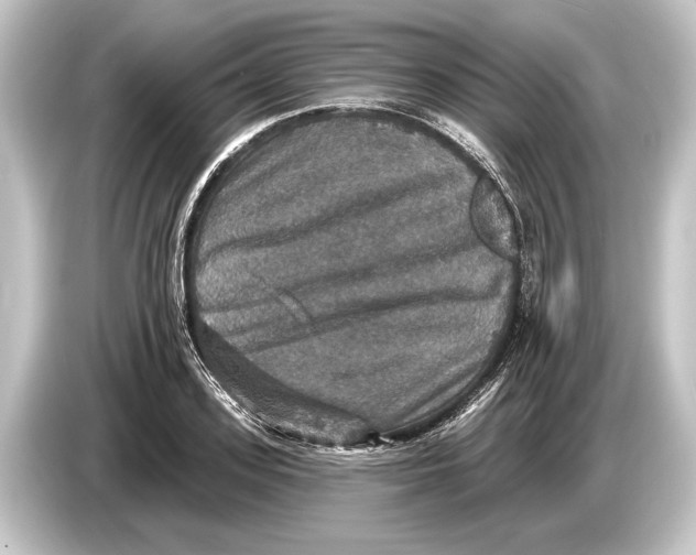 X0000084520939200703161545