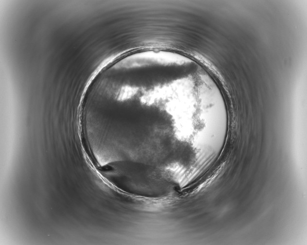 X0000084520941200703161545