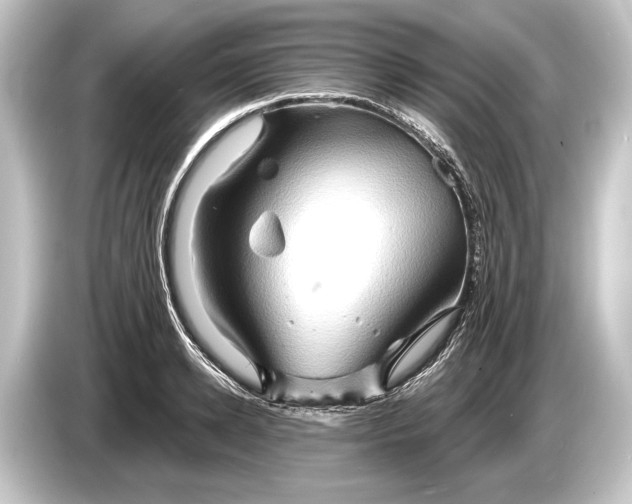 X0000084520942200703161545