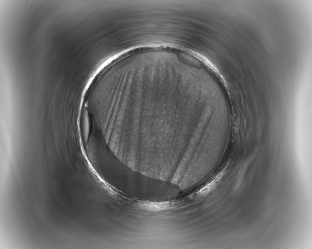 X0000084520943200703161545