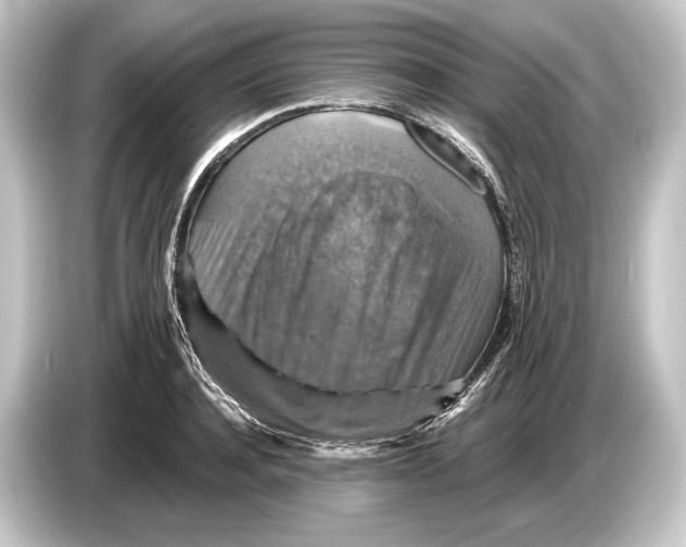 X0000084520944200703161545