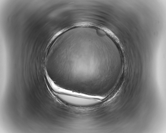 X0000084520945200703161545