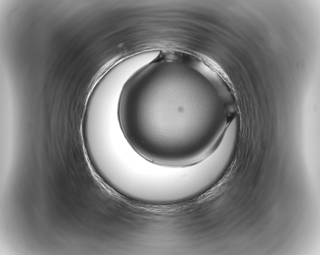 X0000084520946200703161545