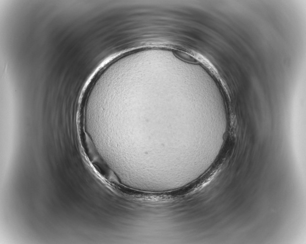 X0000084520947200703161545