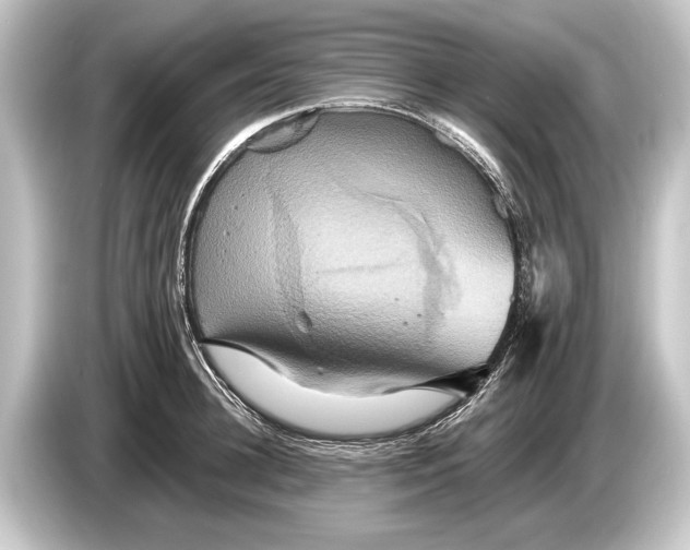 X0000084520948200703161545