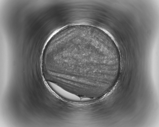 X0000084520949200703161545