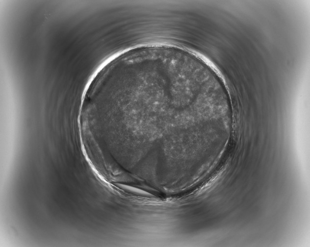 X0000084520951200703161545