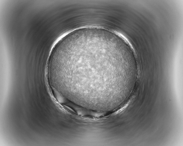 X0000084520952200703161545