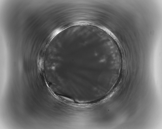 X0000084520953200703161545