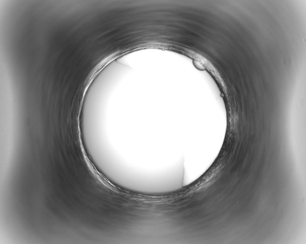 X0000084520954200703161545