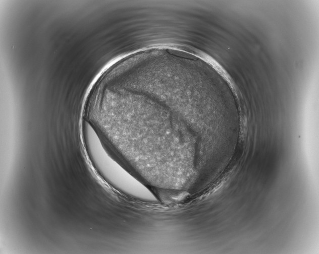 X0000084520955200703161545