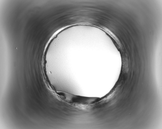 X0000084520956200703161545