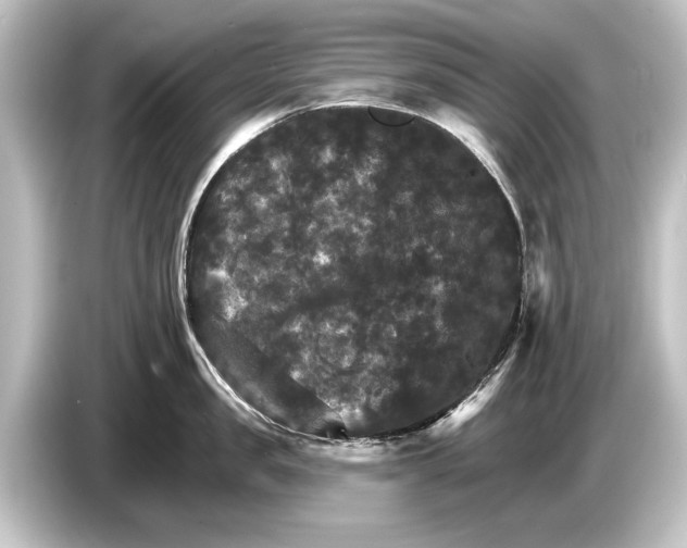 X0000084520957200703161545