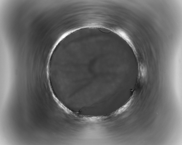 X0000084520958200703161545