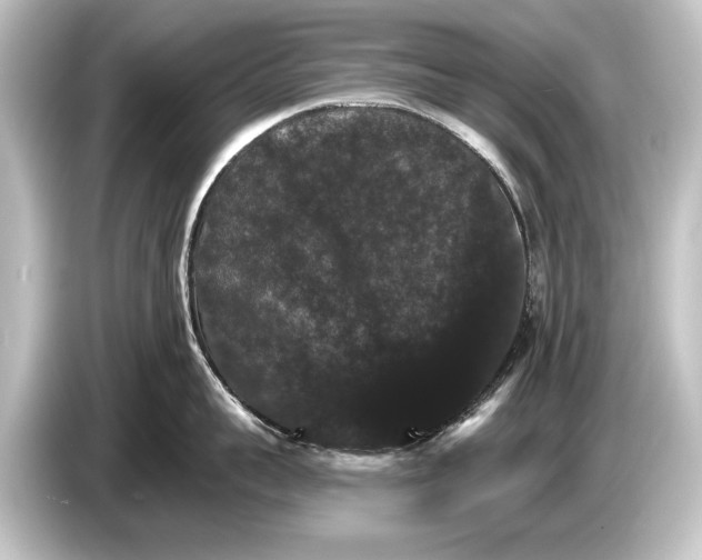 X0000084520959200703161545